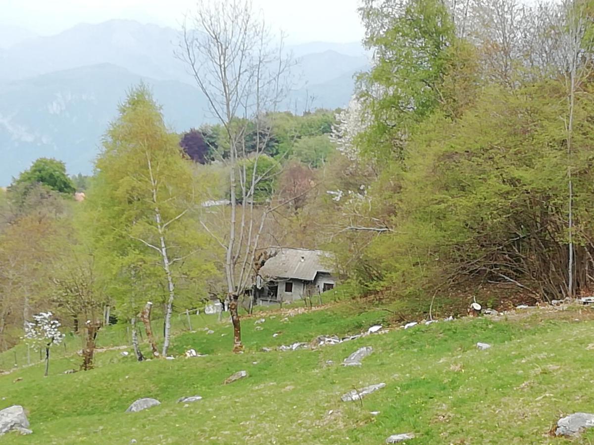 Chalet Tessa Bellagio Esterno foto